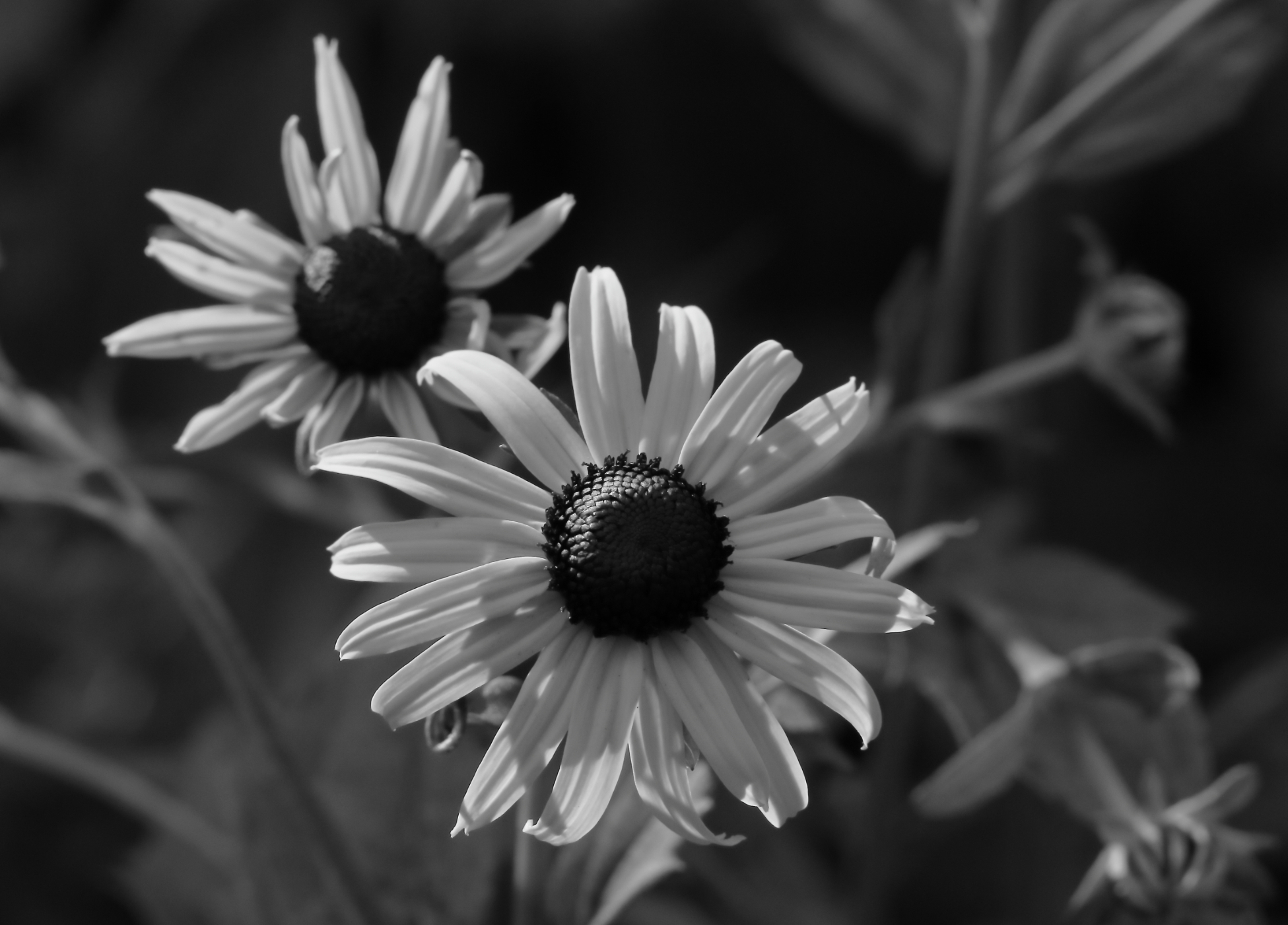 2021 07 15 HTP 50692ebw